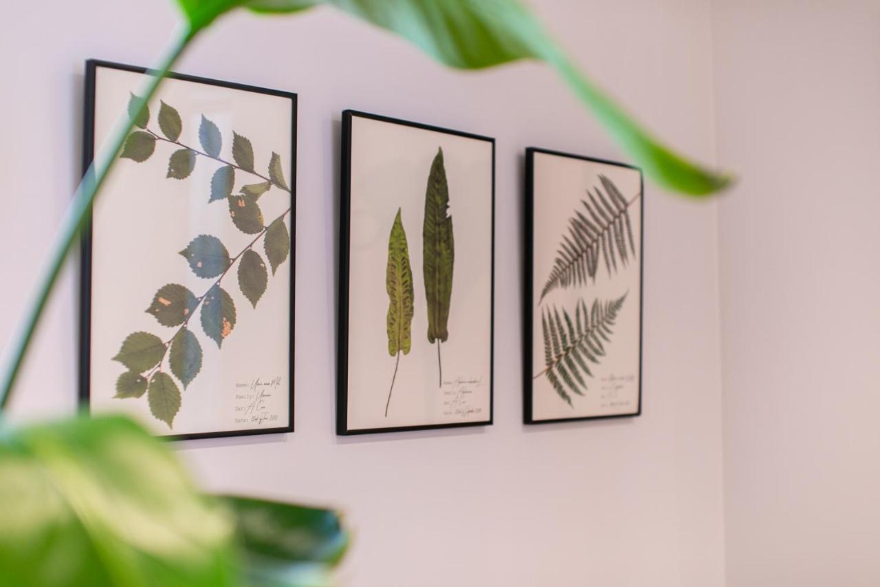 Bonjour Maison -Self Check-In Villa Fukuoka  Ngoại thất bức ảnh